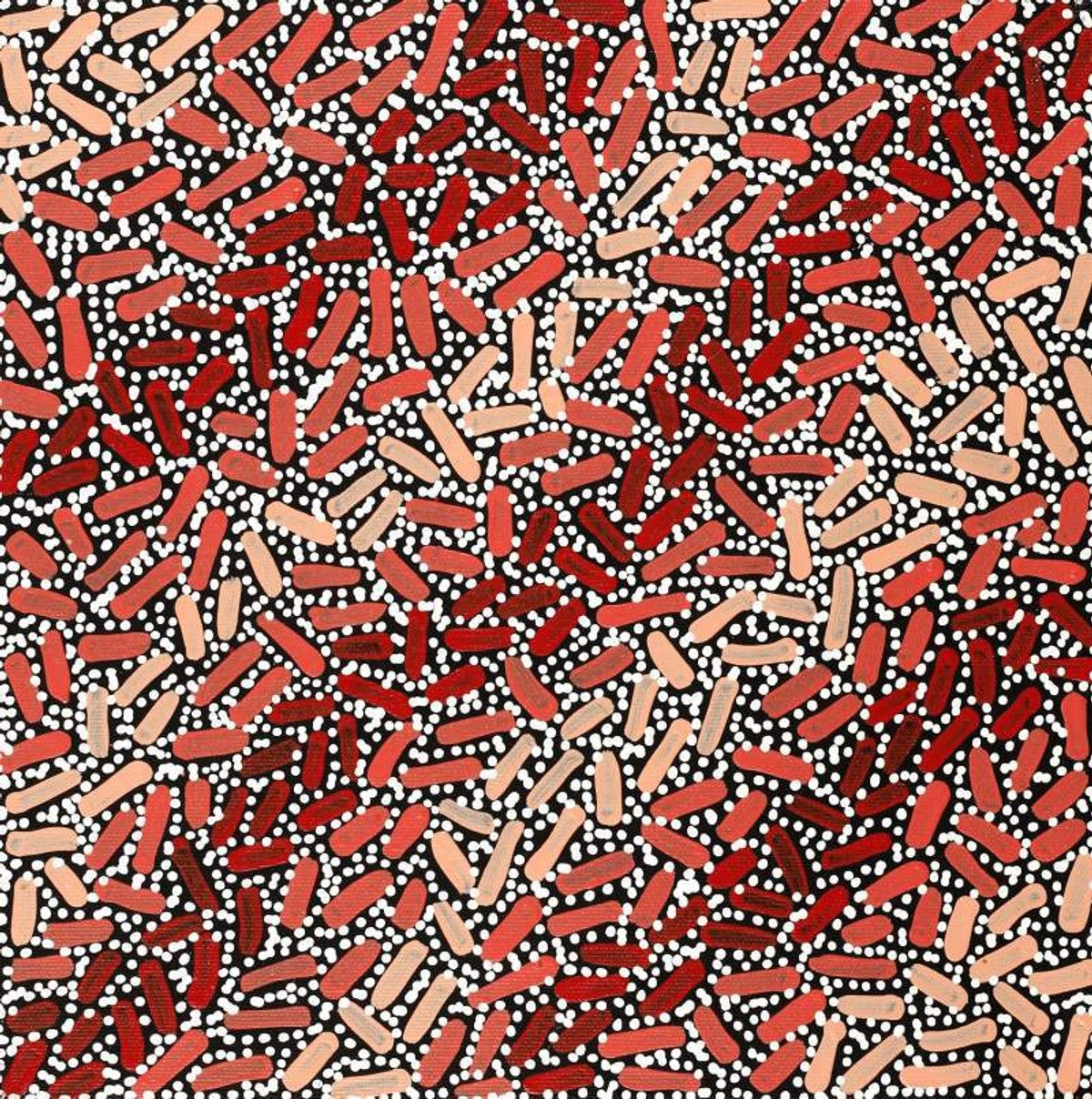 Warlukurlangu Jukurrpa (Fire country Dreaming)
