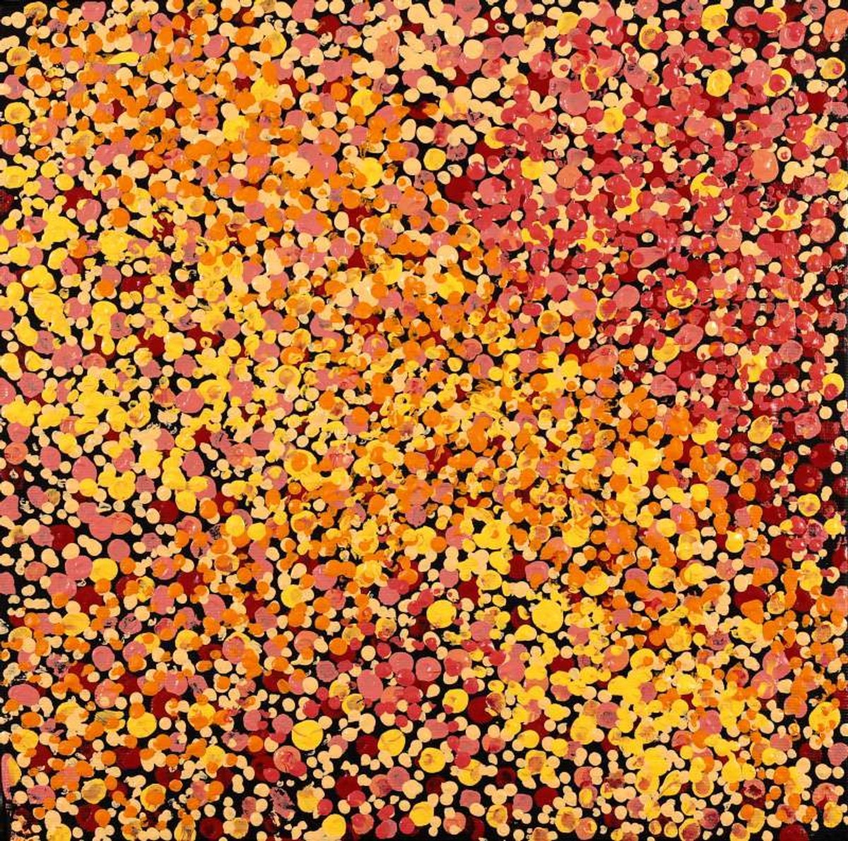 Wardapi Jukurrpa (Goanna Dreaming) - Yarripilangu