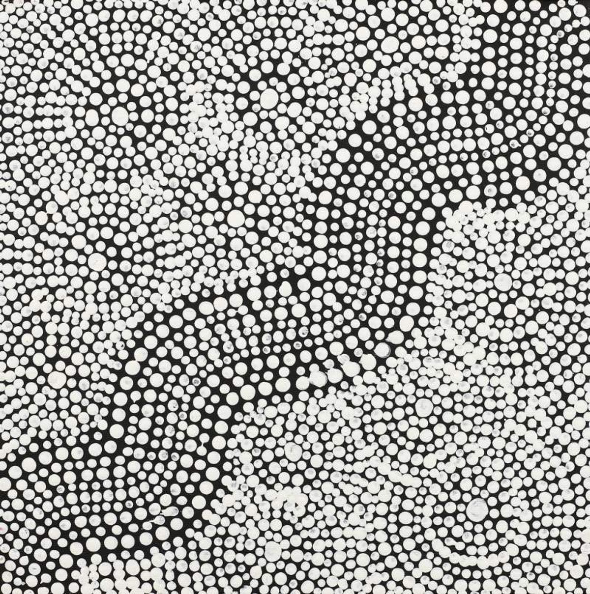Mala Jukurrpa (Rufous Hare-wallaby Dreaming)