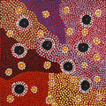 Ngarlkirdi Jukurrpa (Witchetty Grub Dreaming)