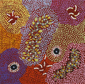 Ngarlkirdi Jukurrpa (Witchetty Grub Dreaming)