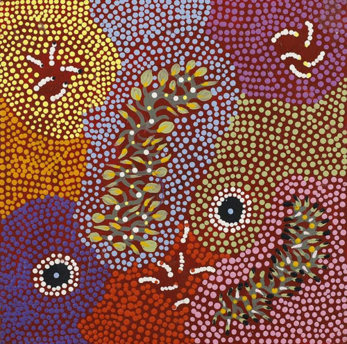 Ngarlkirdi Jukurrpa (Witchetty Grub Dreaming)