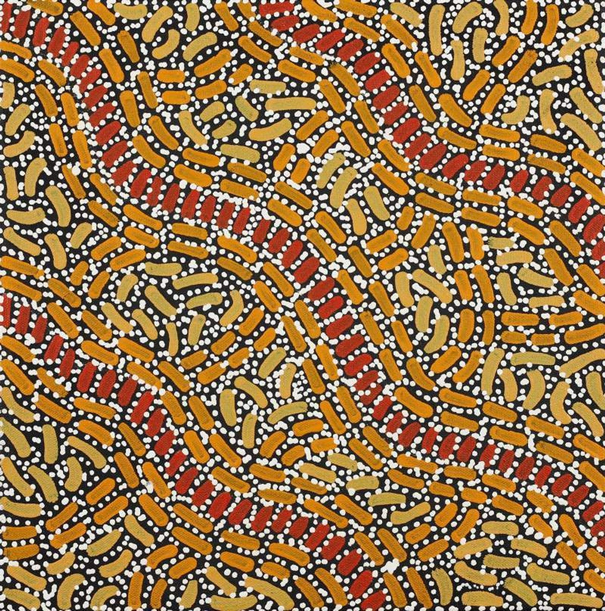 Warlukurlangu Jukurrpa (Fire country Dreaming)