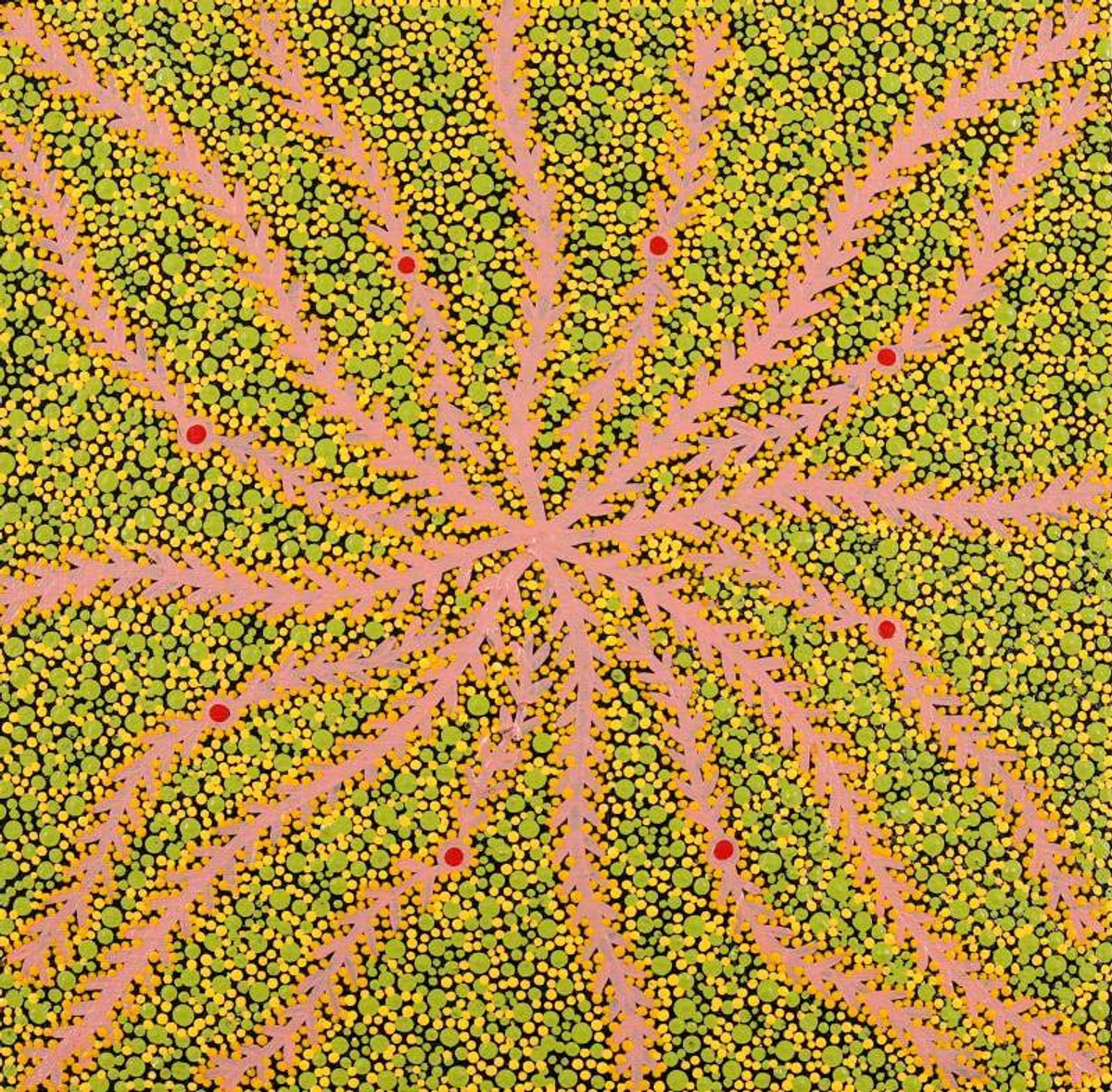 Ngurlu Jukurrpa (Native Seed Dreaming)