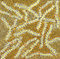 Ngurlu Jukurrpa (Native Seed Dreaming)
