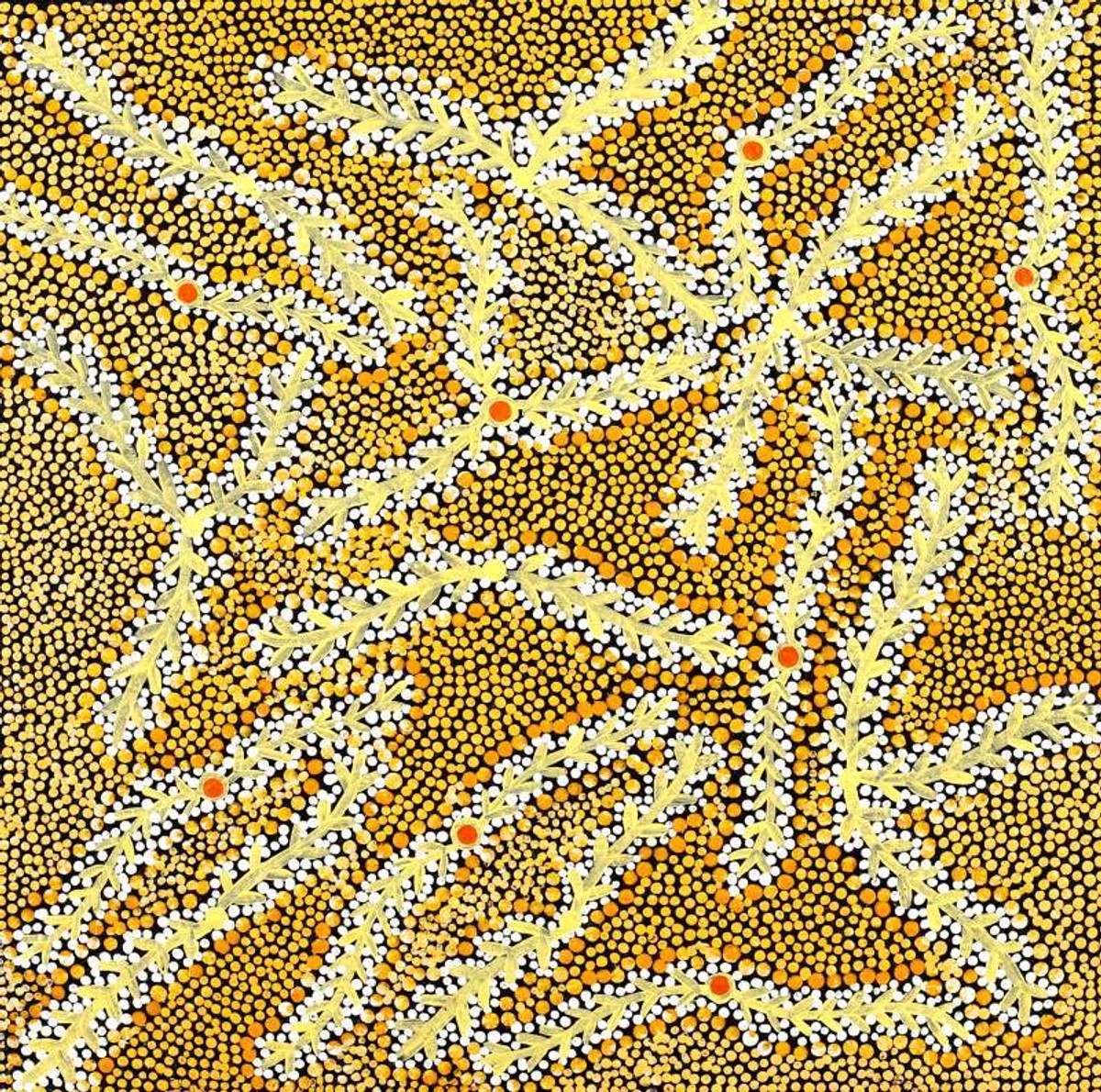 Ngurlu Jukurrpa (Native Seed Dreaming)