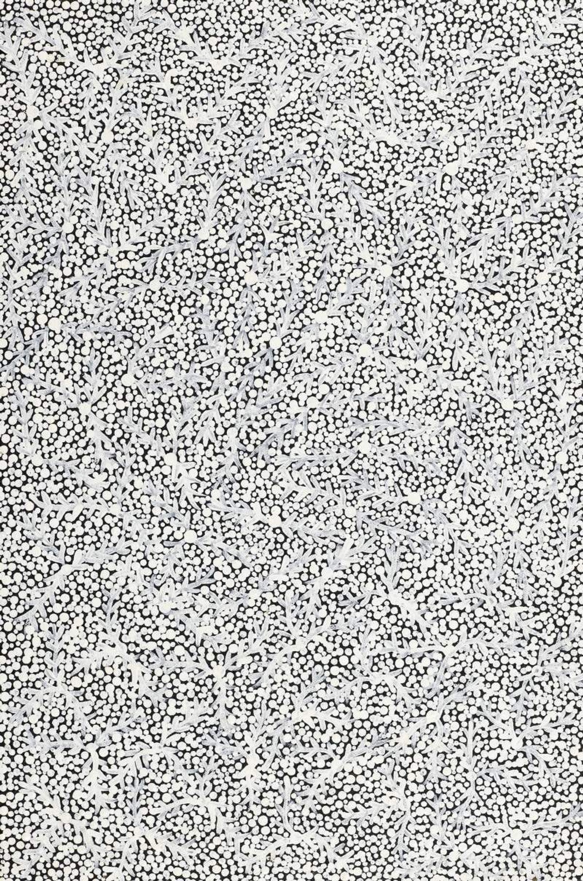 Ngurlu Jukurrpa (Native Seed Dreaming)