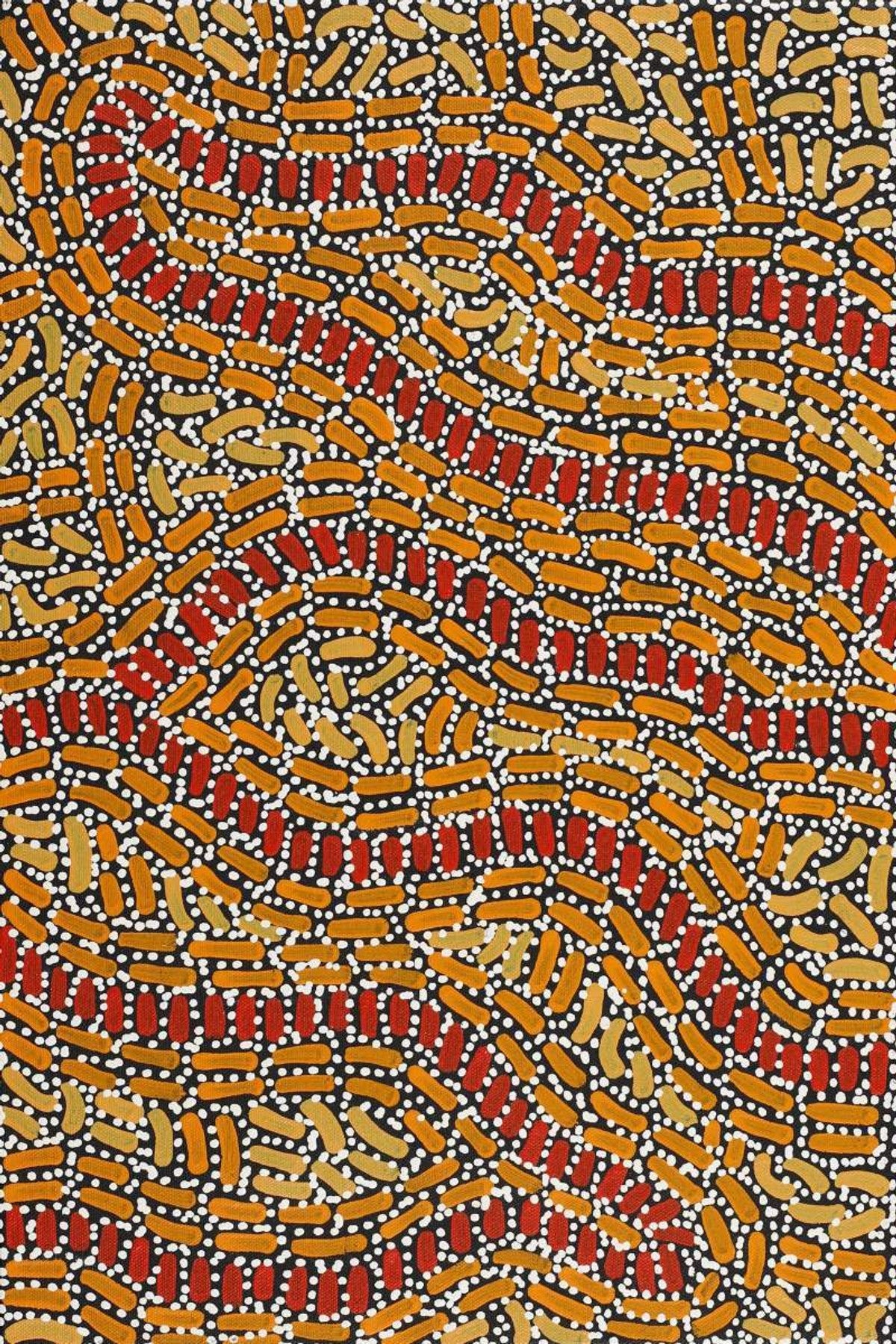 Warlukurlangu Jukurrpa (Fire country Dreaming)