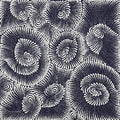 Pamapardu Jukurrpa (Flying Ant Dreaming)  - Warntungurru