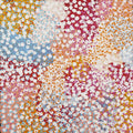 Wardapi Jukurrpa (Goanna Dreaming) - Yarripilangu