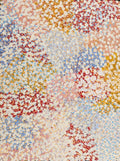 Wardapi Jukurrpa (Goanna Dreaming) - Yarripilangu