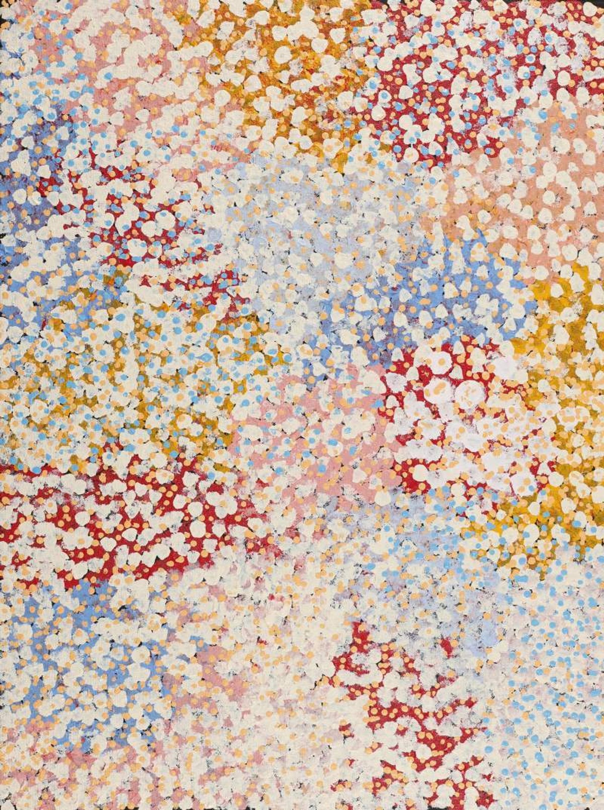 Wardapi Jukurrpa (Goanna Dreaming) - Yarripilangu