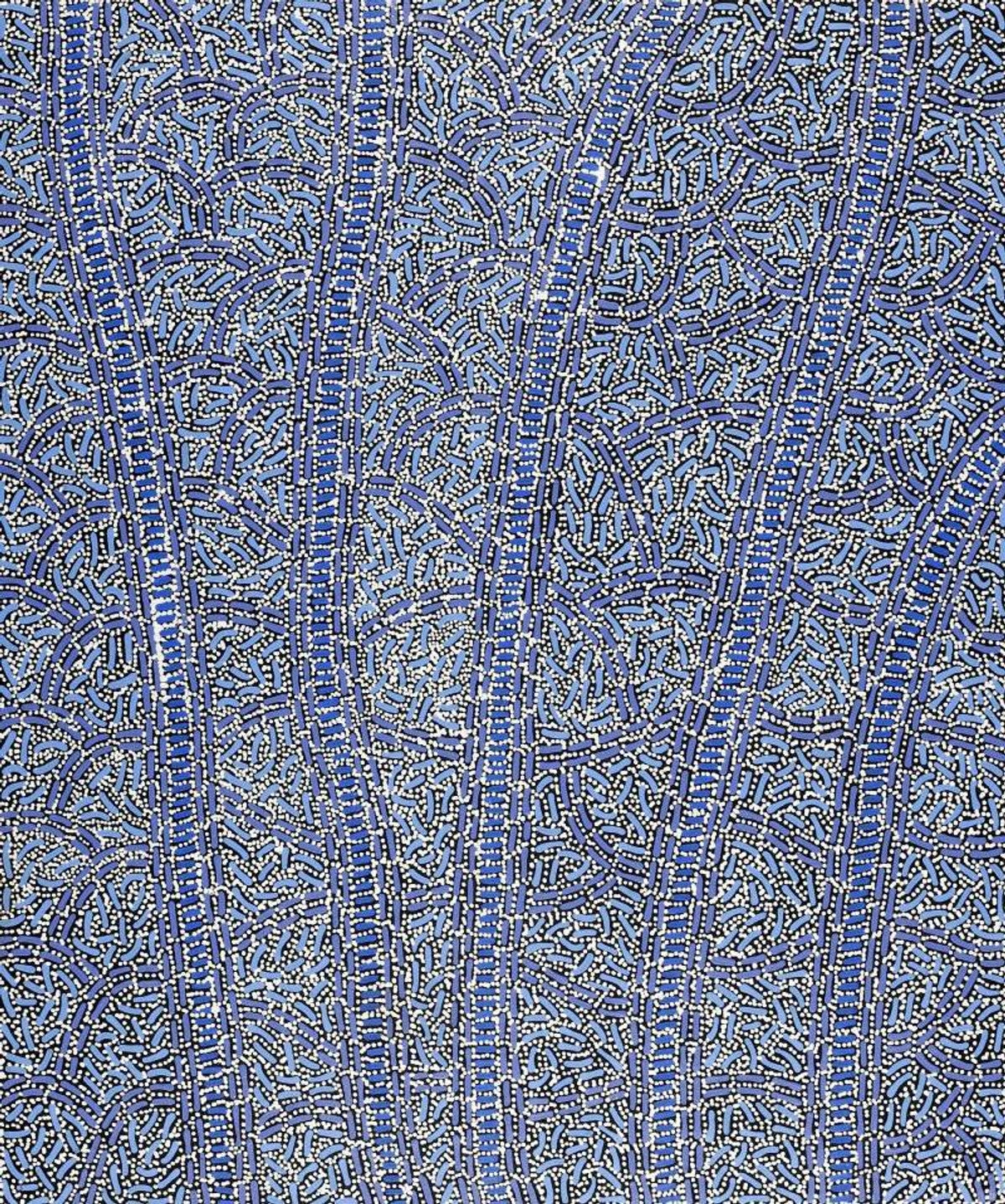 Warlukurlangu Jukurrpa (Fire country Dreaming)