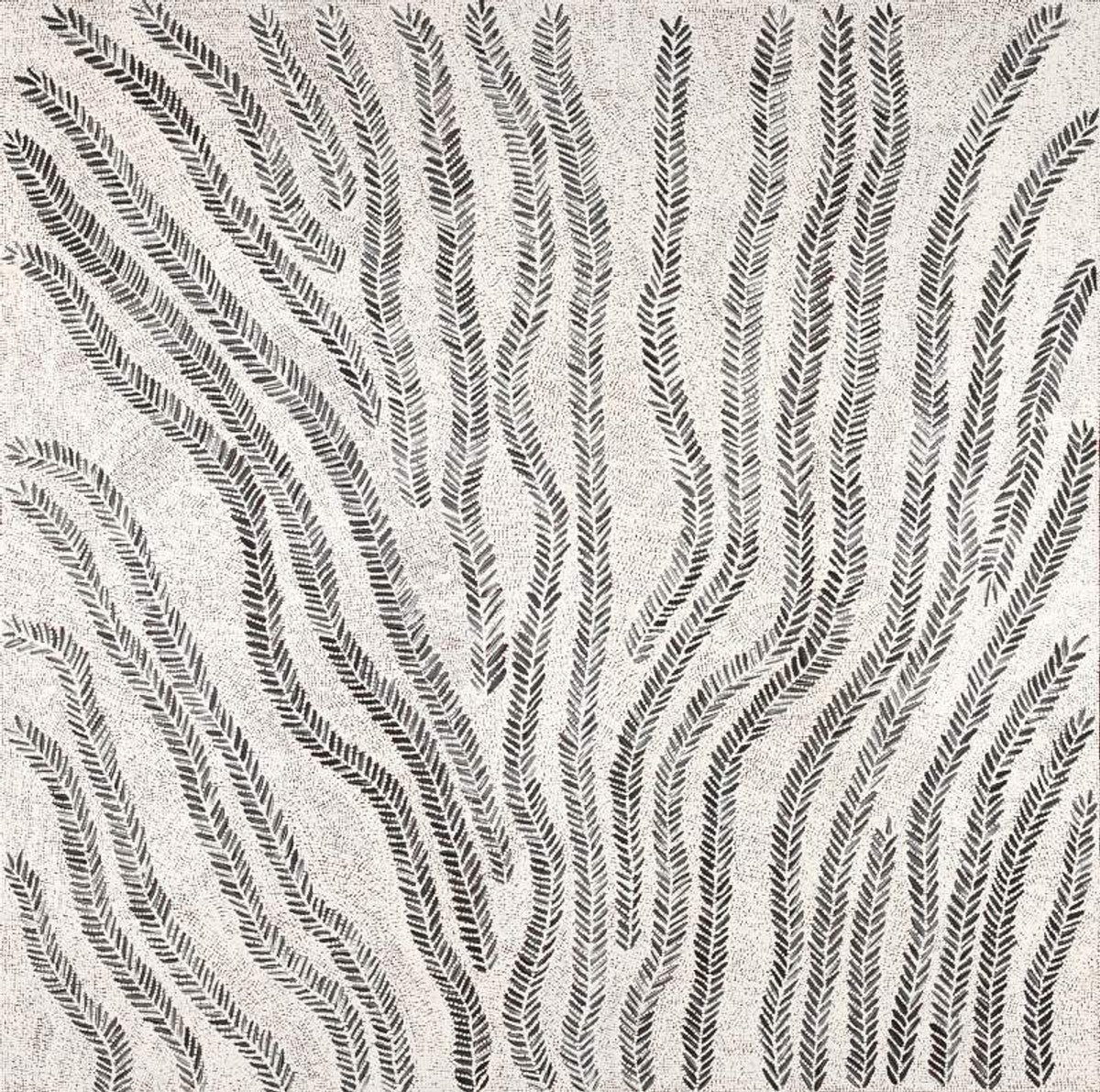 Karnta Jukurrpa (Women's Dreaming) - Bush Medicine