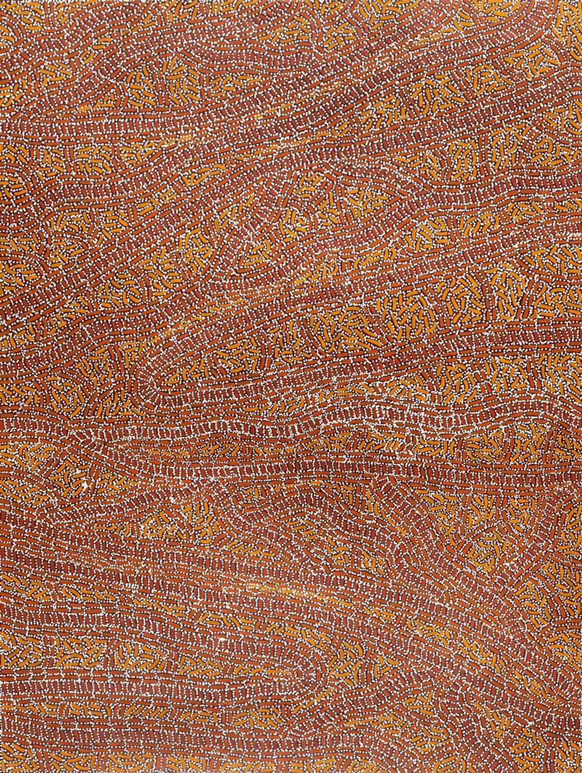 Warlukurlangu Jukurrpa (Fire country Dreaming)