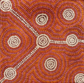 Wardapi Jukurrpa (Goanna Dreaming) - Yarripilangu