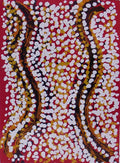 Munga Jukurrpa (Night Sky Dreaming)