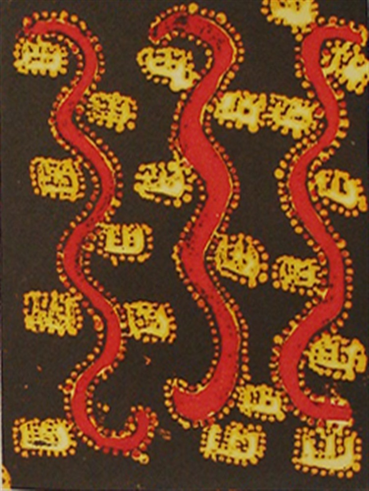 Janganpa Jukurrpa (Possum Dreaming)