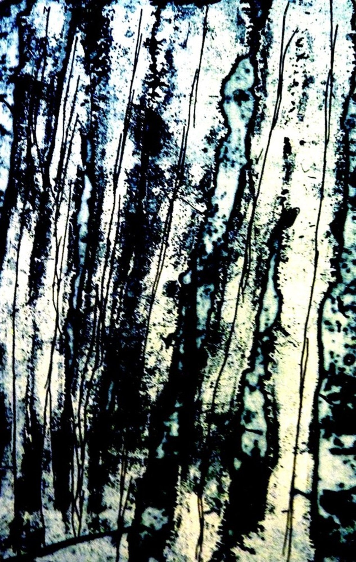 Ngapa Jukurrpa (Water Dreaming)  -  Puyurru