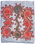 ‘Janganpa manu Jajirdi Jukurrpa ’ 1998  (Possum and Native Cat Dreaming)
