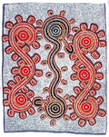 ‘Janganpa manu Jajirdi’ 1998  (Possum and Native Cat Dreaming)