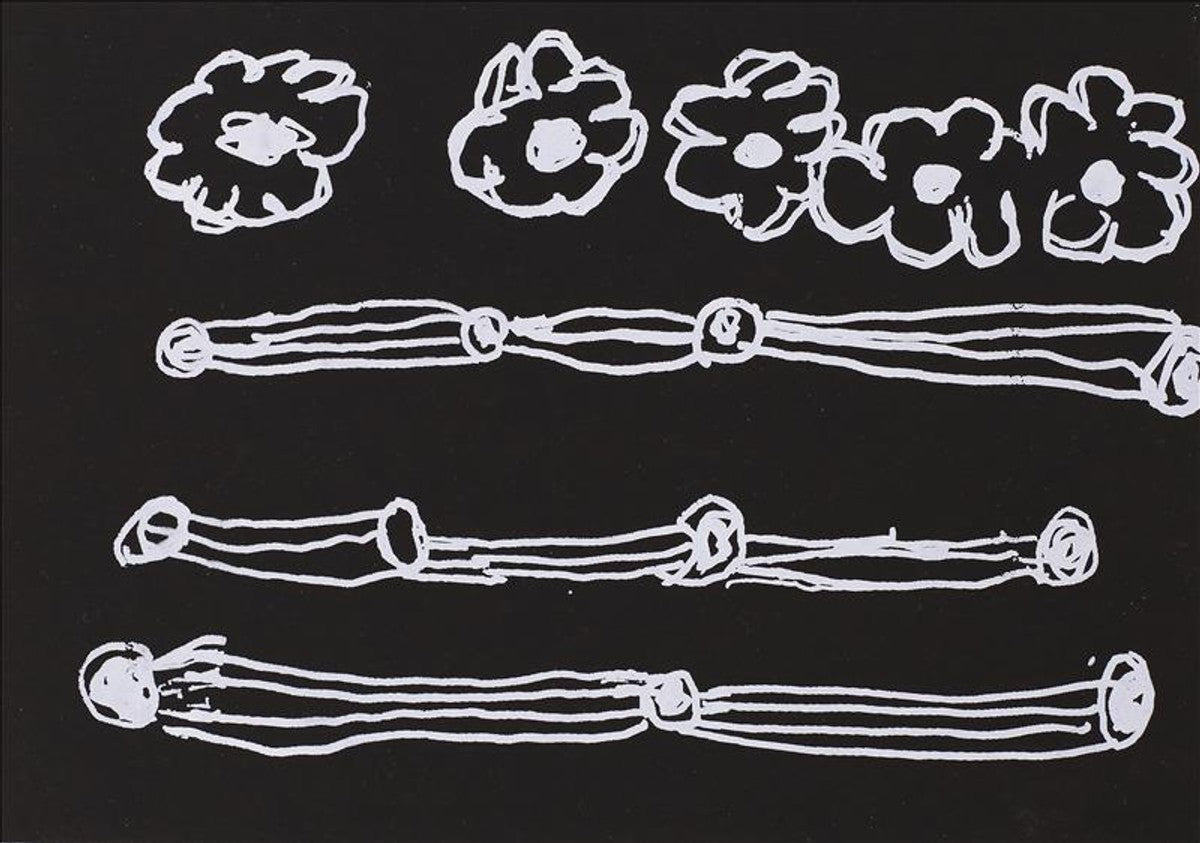 Janganpa Jukurrpa (Brush-tail Possum Dreaming)-  Mawurrji