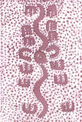 Janganpa Jukurrpa (Brush-tail Possum Dreaming)-  Mawurrji