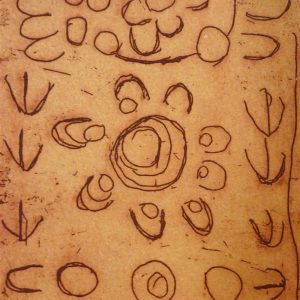 Yankirri Jukurrpa (Emu Dreaming) - Ngarna by Rosie Nangala Flemming (dec)