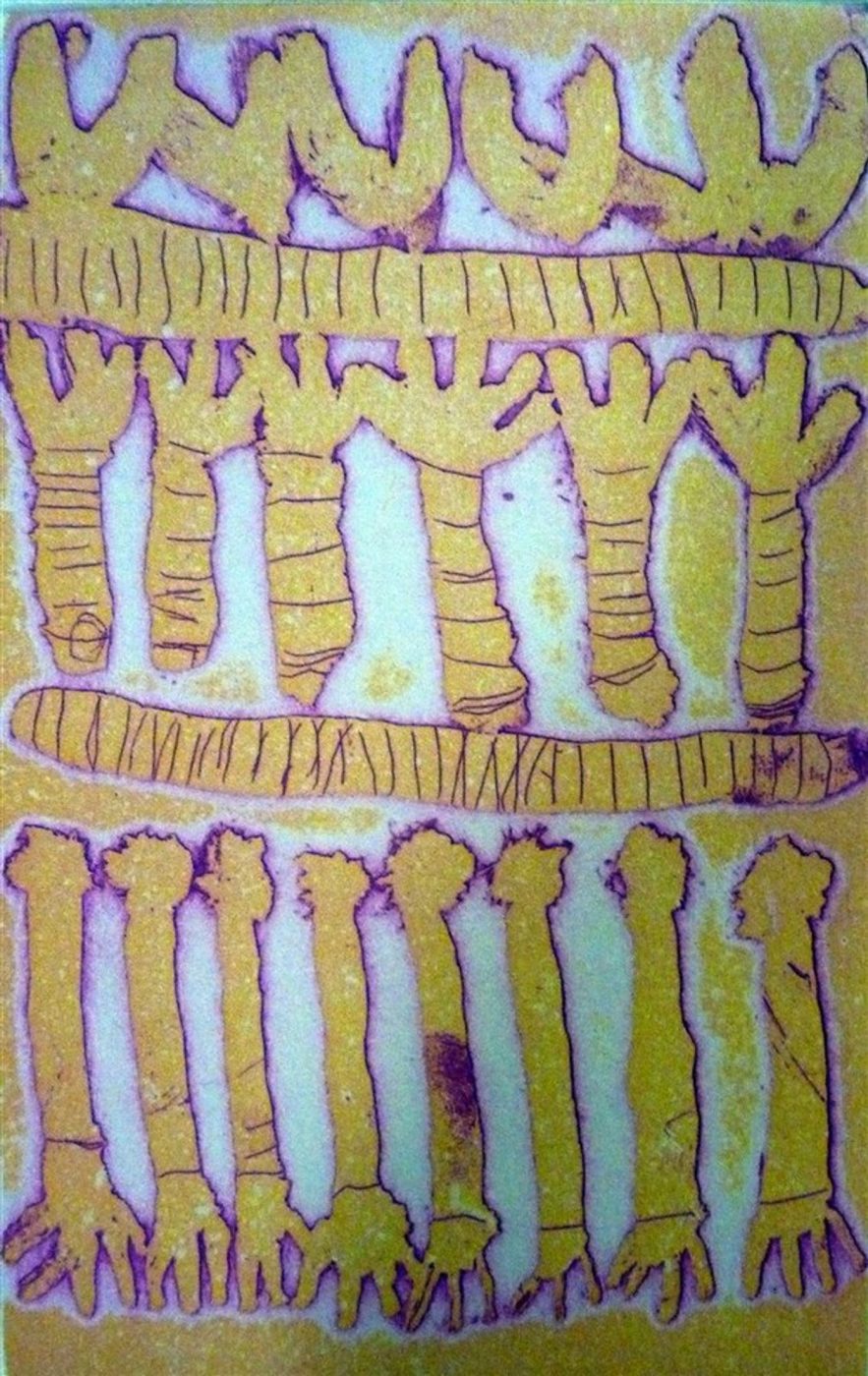 Yankirri Jukurrpa (Emu Dreaming) - Ngarna by Rosie Nangala Flemming (dec)