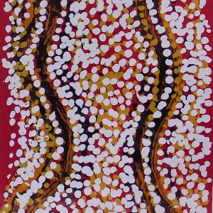 Munga Jukurrpa (Night Sky Dreaming) by Paddy Japaljarri Sims (dec)