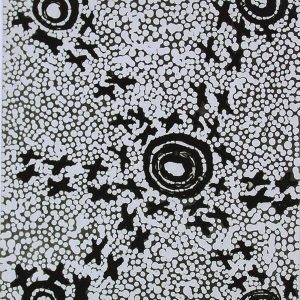 Ngatijirri Jukurrpa (Green Budgerigar Dreaming) by Paddy Japaljarri Stewart (dec)