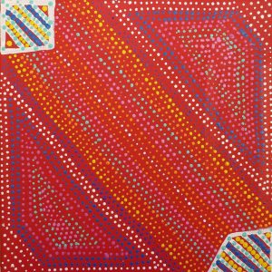 Janyinki Jukurrpa (Janyinki Dreaming) by Elsie Napanangka Granites