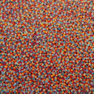 Ngalyipi Jukurrpa (Snake Vine Dreaming) - Yanjirlpiri by Geraldine Napangardi Granites