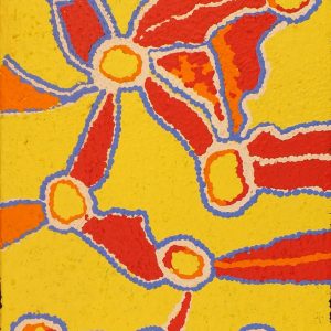 Pikilyi Jukurrpa (Vaughan Springs Dreaming) by Amelia Napaljarri Brown (dec)