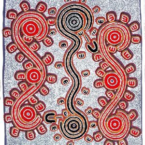 ‘Janganpa manu Jajirdi’ 1998  (Possum and Native Cat Dreaming) by Andrea Nungarrayi Martin (dec)
