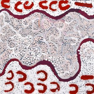 Mina Mina Jukurrpa (Mina Mina Dreaming) -  Ngalyipi by Gayle Napangardi Gibson (dec)