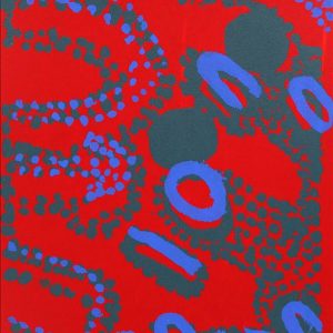 Janganpa Jukurrpa (Brush-tail Possum Dreaming)-  Mawurrji by Steven Jupurrurla Nelson