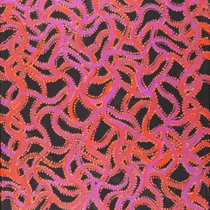 Ngalyipi Jukurrpa (Snake Vine Dreaming) - Yanjirlpiri by Geraldine Napangardi Granites