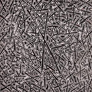 Ngatijirri Jukurrpa (Budgerigar Dreaming) by Kenneth Jungarrayi Martin