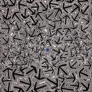 Yankirri Jukurrpa (Emu Dreaming) - Ngarlikurlangu by Jeffrey Jangala Gallagher