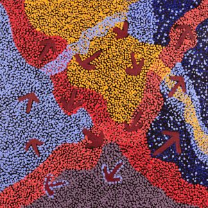 Yankirri Jukurrpa (Emu Dreaming) - Ngarlikirlangu by Margaret Nangala Gallagher