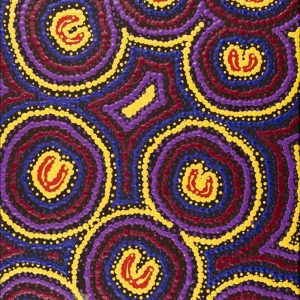 Lappi Lappi Jukurrpa (Lappi Lappi Dreaming) by Florence Nungarrayi Tex