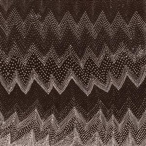 Ngapa Jukurrpa (Water Dreaming)  -  Pirlinyarnu by Lyn Napangardi Ward