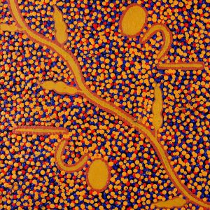 Wardapi Jukurrpa (Goanna Dreaming) - Yarripilangu by Melissa Napangardi Williams