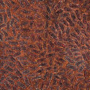 Ngapa Jukurrpa (Water Dreaming)  -  Pirlinyarnu by Sabrina Nangala Robertson