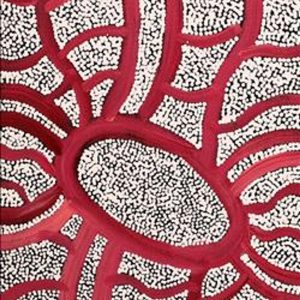 Janganpa Jukurrpa (Brush-tail Possum Dreaming)- Mawurrji by Judith Nungarrayi Martin