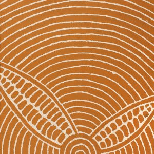 Yarla Jukurrpa (Bush Potato Dreaming) - Cockatoo Creek by Josiah Jupurrurla Walker