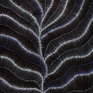 Wanakiji Jukurrpa (Bush Tomato Dreaming) by Debbie Napaljarri Brown