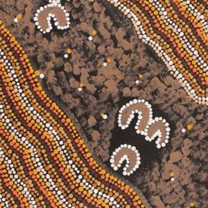 Lappi Lappi Jukurrpa (Lappi Lappi Dreaming) by Florence Nungarrayi Tex