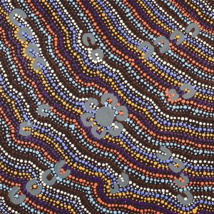 Lappi Lappi Jukurrpa (Lappi Lappi Dreaming) by Florence Nungarrayi Tex